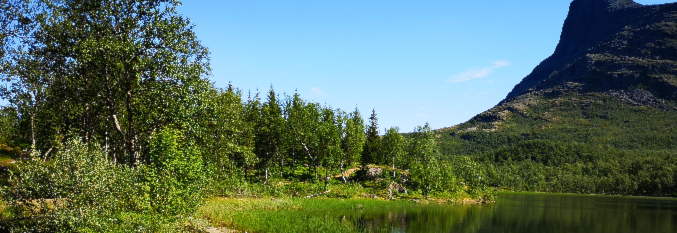 Ti på Topp Narvik 2020